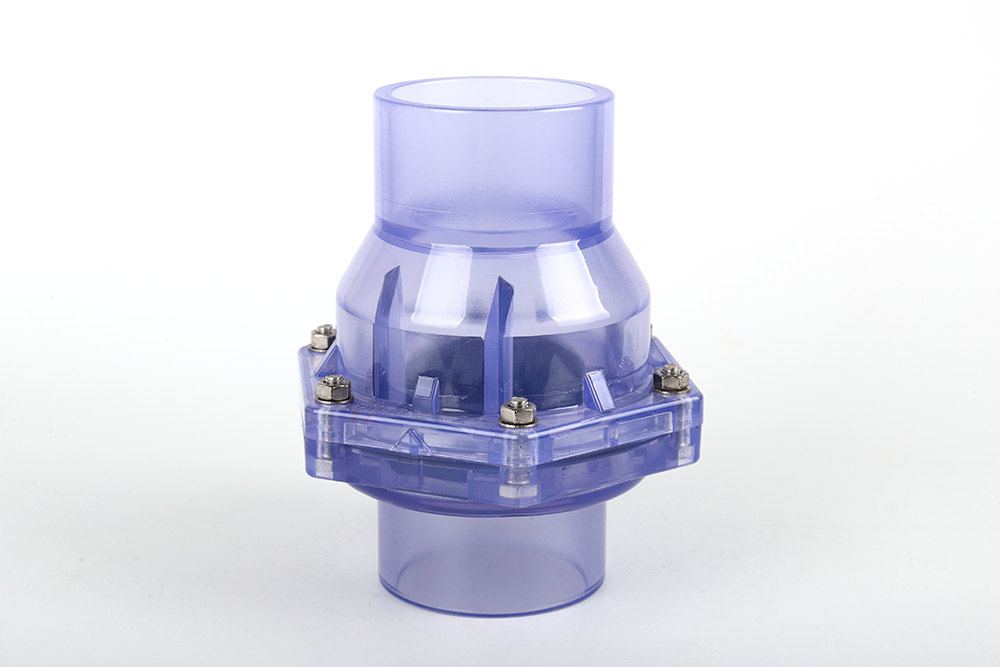 涞水透明翻板式止回阀